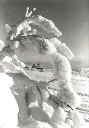 Osterzgebirge. Äste mit Raureif gegen den Berghof Raupennest