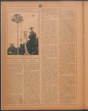 La carbonera que llegó a embajadora