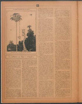 La carbonera que llegó a embajadora