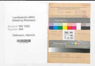 Entnazifizierung Heinrich Diekmann , geb. 01.04.1892 (Landwirt)