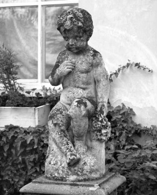 Putto