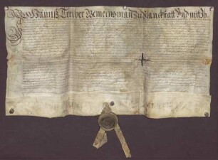 Erblehenrevers gegenüber der kurpfälzischen Kirchengüter- und Gefällverwaltung wegen Gütern in der Gemarkung von Plankstadt.