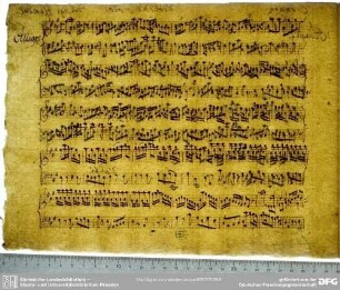 W-Dl-287 Trauben / Buchstaben?