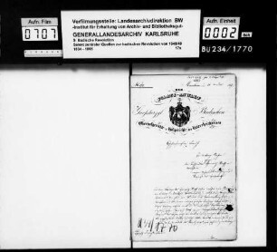 Hoff, Heinrich, Buchhändler in Mannheim, wegen Hochverrat und Majestätsbeleidigung (III)