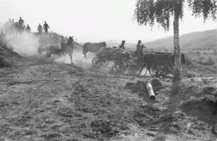 Zweiter Weltkrieg. Frontbilder. Sowjetunion. Troß der deutschen Wehrmacht mit Reiter und Pferdefuhrwerken