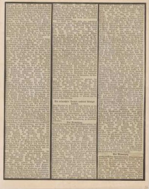 Zeitungsausschnitte "Der Trauerzug"