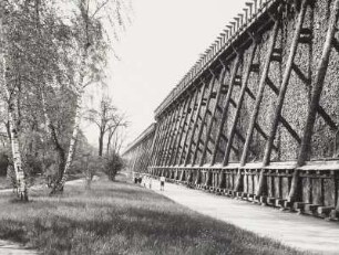 Bad Kösen