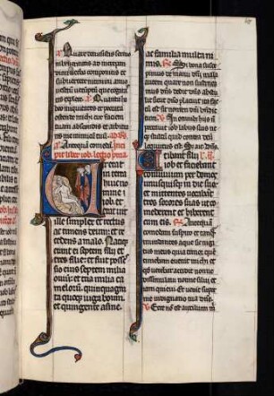 Historisierte Initiale (Liber Iob): V(ir erat in terram)