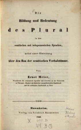 Die Bildung und Bedeutung des Plural in den semitischen und indogermanischen Sprachen, nebst einer Einleitung über den Bau der semitischen Verbalstämme : Von Ernst Meier
