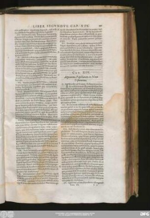 Cap. XIV. Argumenta Papistarum ex Novo Testamento.