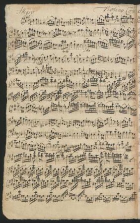 Violino concerto