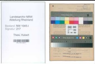 Entnazifizierung Hubert Theis , geb. 28.04.1913 (Betriebsleiter)