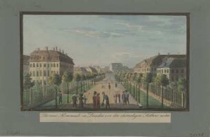 Ansicht der Gegend am Seetor in Dresden, Umrißradierung, um 1825 : Die neue Promenade zu Dresden vor den ehemaligen Seethore rechts. - [Dresden] : [Beger] , [um 1825]. - 1 Kunstbl. : aquarellierte Umrißradierung ; 16 x 9 cm