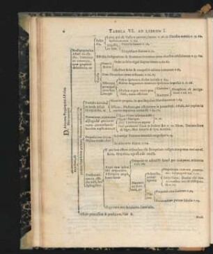 Tabula VI.