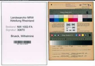 Entnazifizierung Wilhelmine Brueck, geb. 03.04.1898 (Kauffrau)