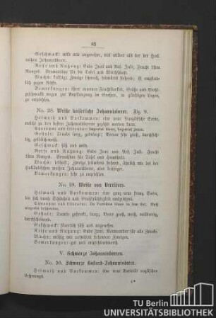V. Schwarze Johannisbeeren. No. 30. Schwarze Bastard-Johannisbeere - No. 35. Weißbuntblättrige schwarze Johannisbeere.
