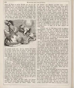 "Memoiren aus dem Hofleben"