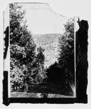 Blick aus Richtung Wartturm durch Waldschneise auf Burg und z.T. Altstadt
