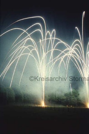 Feuerwerk: Bürgerpark: Sportplatz: hinten Bäume: Nacht