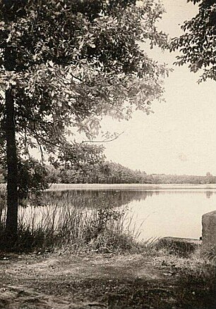 Laußnitzer Heide. Abfluss des Niederteiches bei Klein-Naundorf