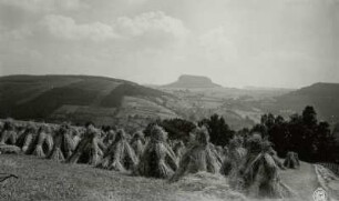 Sächsische Schweiz. Waltersdorfer Ebenheit nördöstlich des Liliensteins. Blick über Kornpuppen und das Elbtal nach Süden zum Pfaffenstein