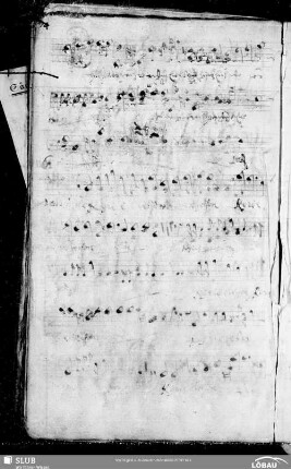 116 Andreas Kadner: Missa super Cum natus esset Jesus