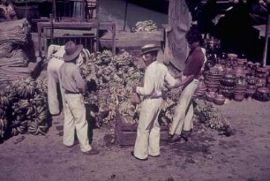 Reisefotos Südamerika. Marktstand mit Bananenstauden