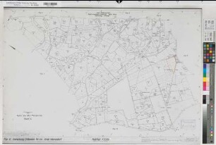 Ostbevern, Westbevern, Milte (Ostbevern, Telgte, Warendorf), Flurbereinigung Bevertal, alter Bestand Ostbevern Flur 6