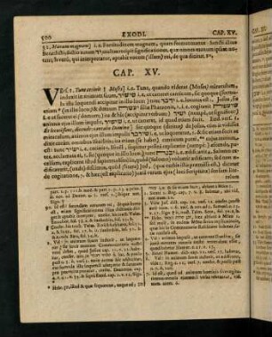 500-519, Cap. XV