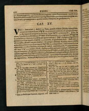 500-519, Cap. XV