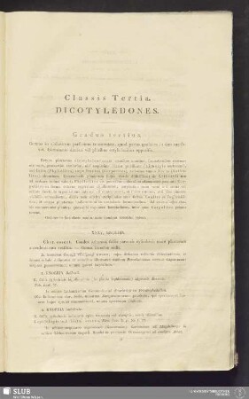 Classis Tertia. Dicotyledones