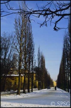 Potsdam, Park Sanssouci, Allee an Grünen Gitter im Winter.