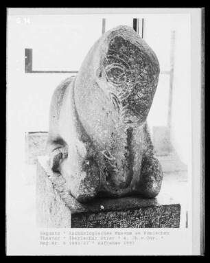 Iberischer Stier