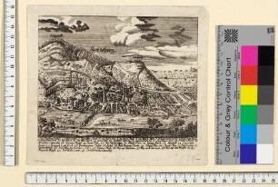 Heidelberg, Stadt und Schloss von Norden