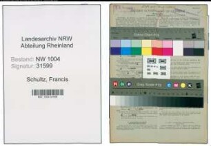Entnazifizierung Francis Schultz , geb. 17.08.1903 (Techniker)