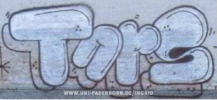 TurS