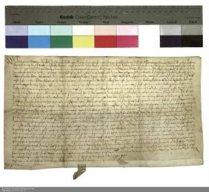 Balthasar [von Dernbach], Inhaber der Propstei Petersberg, Vizedechant Valentin Faber und der Konvent von Petersberg verleihen Ulrich Wiegand und seinem Stiefsohn Melchior Müller aus Hauswurz ein halbes Gut daselbst