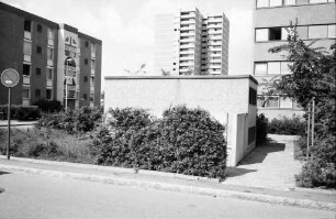 Freiburg, Landwasser: Durch Hecke verdeckter Müllplatz