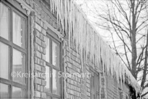 Eiszapfen an Regenrinne: Hauswand mit Fenstern: im Hintergrund Baum: Winter