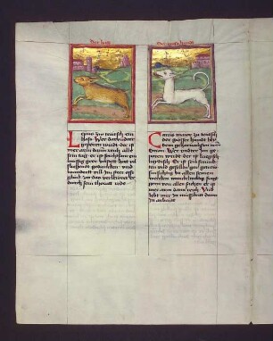 Sternbilder: (1) Der Hase (Lepus); (2) Großer Hund (Canis Sirius)