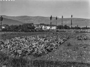 Die Sierra de Cebollera : Blick über ein Feld auf ein Dorf mit der Sierra de Cebollera im Hintergrund