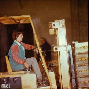 Maschinist für Transportmittel und Hebezeuge