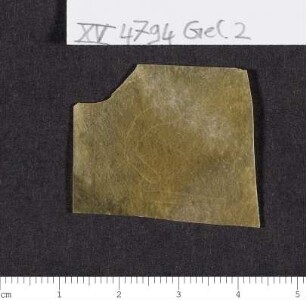 CIL XV 4794 (ab altera parte), Gelatinefolie
