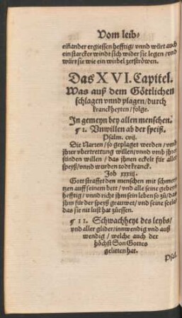Das XVI. Capitel. Was auß dem Göttlichen schlagen unnd plagen/ durch kranckheyten/ folge.