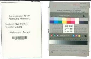 Entnazifizierung Robert Riefenstahl , geb. 04.07.1894 (Spediteur)
