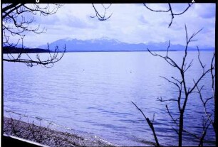 Chieming: Chiemsee von Osten, Vordergrund kahle Äste