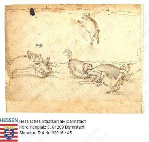 Jagd, Niddaer Sauhatz / Bild 45: Hunde und Sauen / Kampf der Hunde mit den Wildschweinen, unter ihnen Hund Dachs