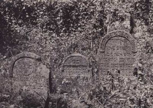 bei Landau, Judenfriedhof. 3 Grabsteine