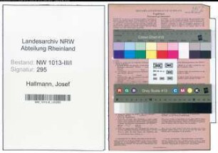 Entnazifizierung Josef Hallmann , geb. 19.11.1903 (Ingenieur)