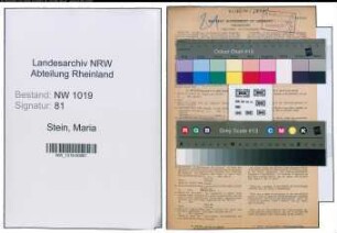 Entnazifizierung Maria Stein , geb. 03.05.1888 (Lehrerin)